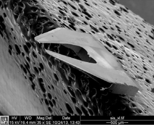 (a) 100 × 60 × 2 nm  developed by Arwatz et al. (2015)23 at Princeton University.